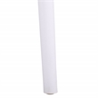 Safavieh Leila Plastic Dining Chair Set of 2  in White