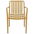 Safavieh Holly Plastic Dining Armchair Set of 2 in Yellow