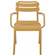Safavieh Sarah Plastic Dining Armchair Set of 2  in Yellow