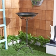 Safavieh Nigel Iron Bird Bath in Black / Rust