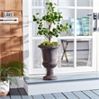 Safavieh Paul Planter in Brown