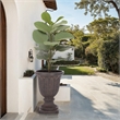 Safavieh Apollo Planter Pot  in Brown