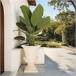 Safavieh Atlas Planter Pot in Off White