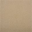 Safavieh Tina Rectangle Coffee Table  in Beige