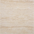 Safavieh Tina Rectangle Coffee Table in Beige