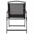 Safavieh Alvin Metal and Rattan Folding Chair Set of 2 in Black / Black