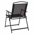 Safavieh Alvin Metal and Rattan Folding Chair Set of 2 in Black / Black