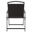 Safavieh Dory Metal and Rattan Folding Chair Set of 2  in Black / Black