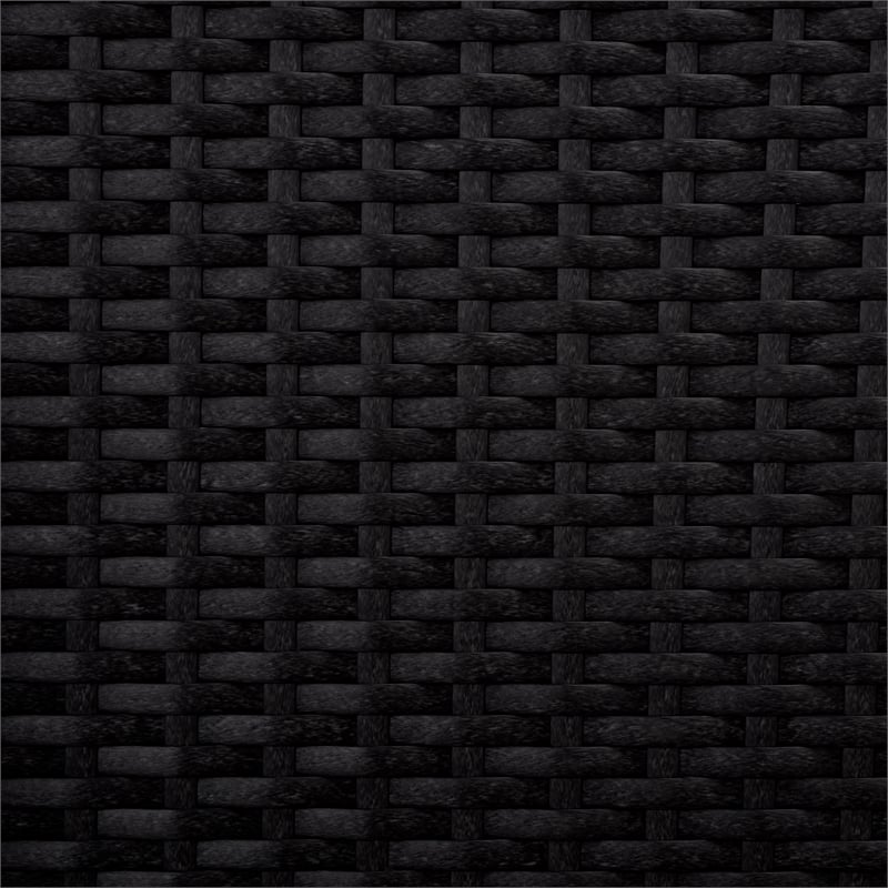 Safavieh Dory Metal and Rattan Folding Chair Set of 2  in Black / Black