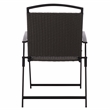 Safavieh Dory Metal and Rattan Folding Chair Set of 2 in Black / Gray
