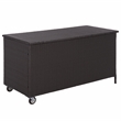 Safavieh Kent Metal and Rattan Cushion Box in Black