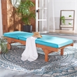 Safavieh Newport Wood Lounge Chair in Natural / Aqua
