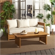 Safavieh Kento Wood Coffee Table  in Natural