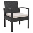Safavieh Bassey 4Pc Wicker and Rattan Living Set in Black / Light Gray