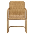 Safavieh Drew Metal and Rattan Dining Chair Set of 2 in Natural / Taupe