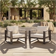 Safavieh Fash Aluminum and Fabric Armchair Set of 2 in Brown / Taupe