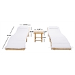 Safavieh Carew 3Pc Steel Sun Lounger Set in Natural