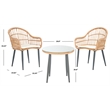 Safavieh Berlen 3Pc Rattan and Steel Lounger Set in Natural / Beige