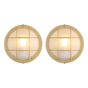 Safavieh Elson 7.87 &quot Iron and Glass Outdoor Wall Sconce Set Of 2 in Gold