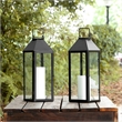 Safavieh Ruane Iron and Glass Outdoor Lantern Set of 2 in Black