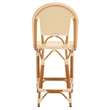 Safavieh California Metal Counter Stool in Natural