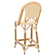 Safavieh California Metal Counter Stool in Natural