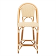 Safavieh California Metal Counter Stool in Natural