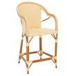 Safavieh California Metal Counter Stool w/ Arm in Natural