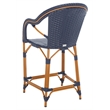 Safavieh California Metal Counter Stool w/ Arm in Navy