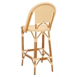 Safavieh California Metal Bar Stool in Natural