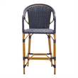 Safavieh California Metal Bar Stool w/ Arms in Navy