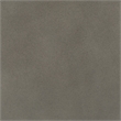 Safavieh Julyvia Concrete Accent Stool in Dark Gray