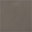 Safavieh Nasya Concrete Accent Stool in Dark Gray