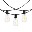 Safavieh Dorcia LED Metal and Glass Outdoor String Light in Black
