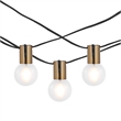 Safavieh Farrynn LED Metal and Glass Outdoor String Light in Brass / Black