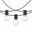 Safavieh Huron LED Metal and Glass Outdoor String Light in Black