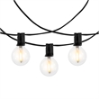 Safavieh Jenica LED Metal and Glass Outdoor String Light in Black