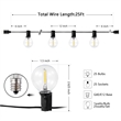 Safavieh Jenica LED Metal and Glass Outdoor String Light in Black