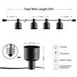 Safavieh Adaner LED Plastic and Metal Outdoor String Light in Black