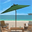 Safavieh Cannes 9Ft Wood Crank Umbrella  in Green