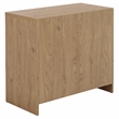 Safavieh Masa 2 Door Wood Sideboard in Oak