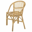 Safavieh Oksana Woven Rattan Arm Chair in Natural