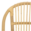 Safavieh Oksana Woven Rattan Arm Chair in Natural