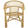 Safavieh Varvara Woven Rattan Arm Chair in Natural