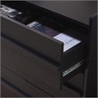 Safavieh Mishi 3 Drawer Wood Chest in Black