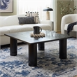 Safavieh Aramin Wood Coffee Table in Black