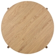 Safavieh Tomori Wood  Coffee Table in Oak