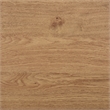 Safavieh Masa 1 Shelf Wood Coffee Table  in Oak