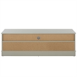 Safavieh Shafa Wood Sideboard/Media Stand in Light Gray / Brass