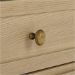 Safavieh Shafa Wood Sideboard/Media Stand in Natural / Brass